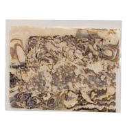 Перламутр, 52х55мм (в ассорт.)